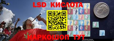 сатива Кингисепп