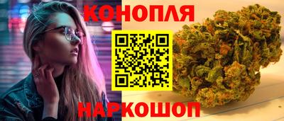 сатива Кингисепп