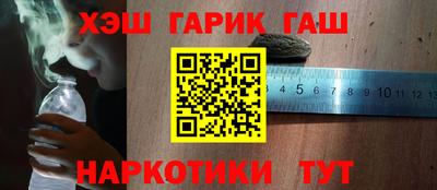 сатива Кингисепп