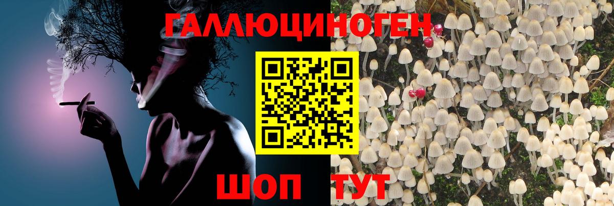 Псилоцибиновые грибы MAGIC MUSHROOMS Люберцы